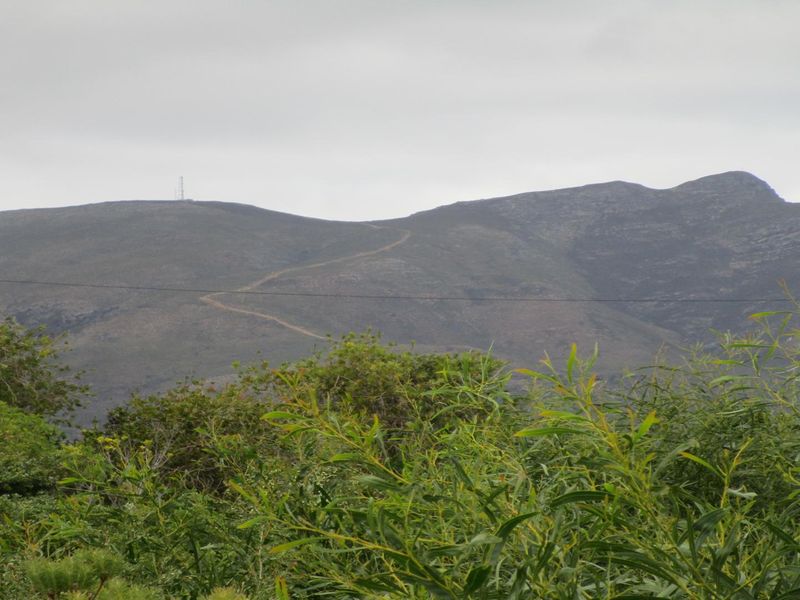 GRAB THIS GOLDEN OPPORTUNITY - LARGE VACANT STAND - Photo 8