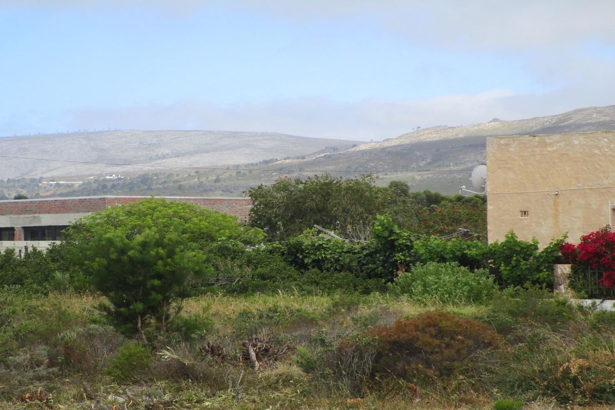 A view of a residential property featuring a weathered exterior wall, surrounding natural vegetation, and a scenic mountain backdrop.