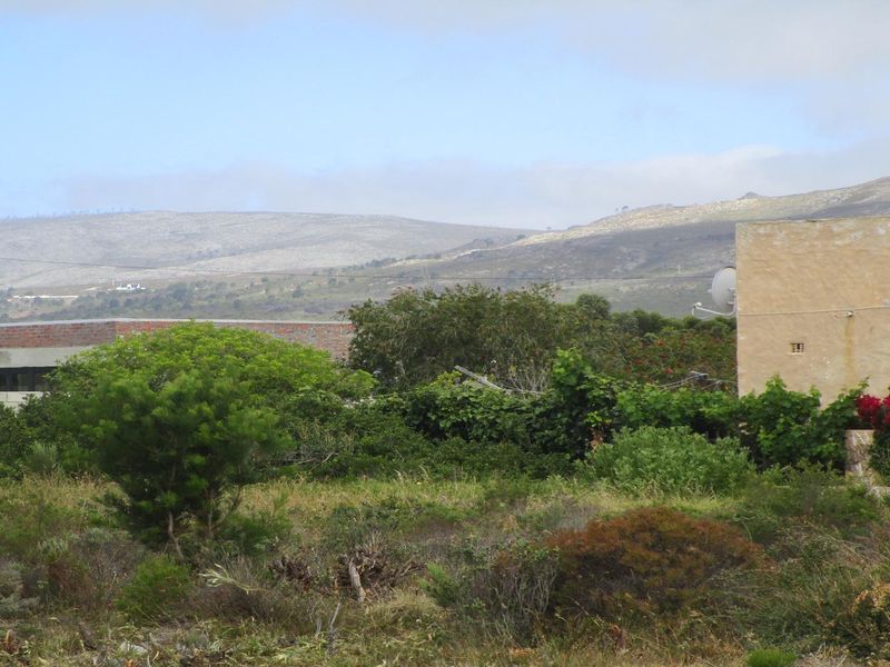 GRAB THIS GOLDEN OPPORTUNITY - LARGE VACANT STAND - Photo 6