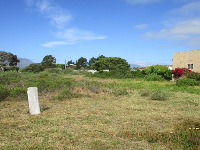 GRAB THIS GOLDEN OPPORTUNITY - LARGE VACANT STAND - Photo 5