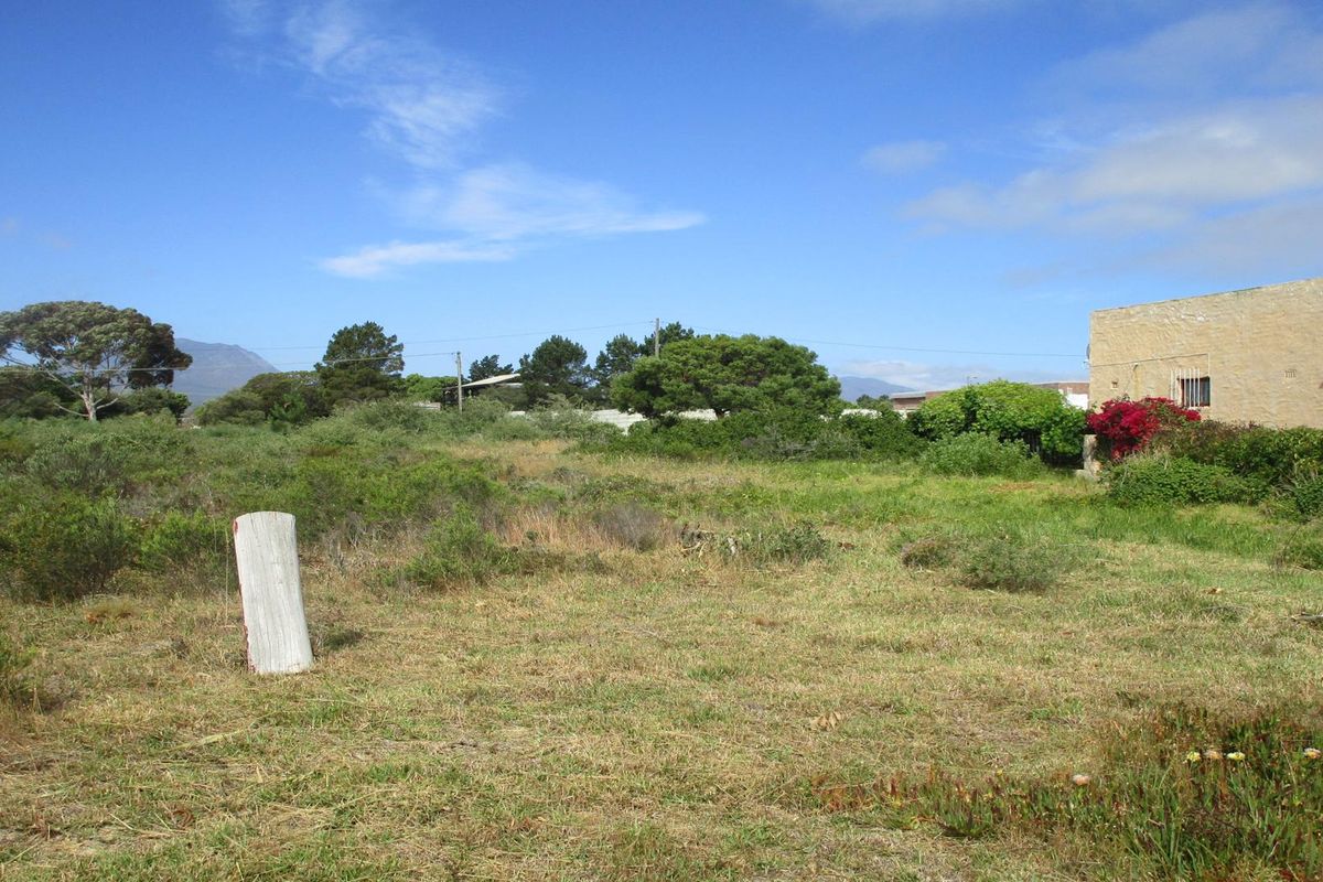 GRAB THIS GOLDEN OPPORTUNITY - LARGE VACANT STAND - Photo 5