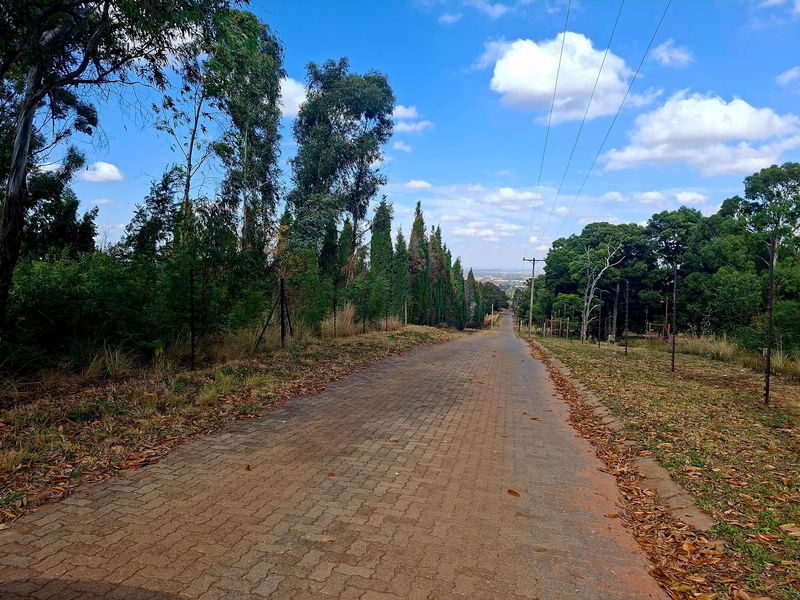 Discover this charming 2-bedroom home on a secluded 2.69ha plot - a true gem - Photo 3