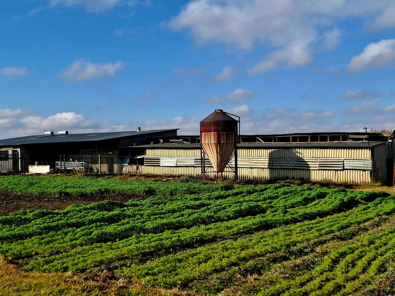 4 Hectare Small Holding in Walkerville For Sale - Photo 8