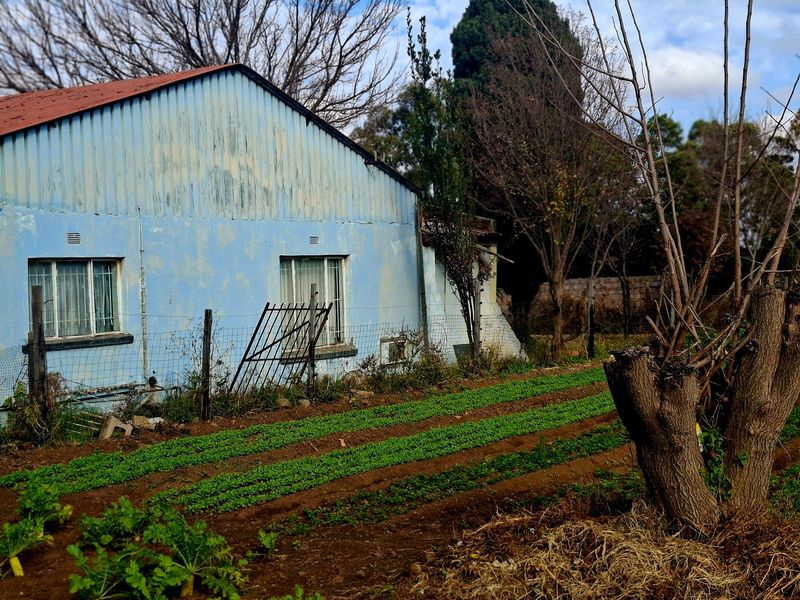 4 Hectare Small Holding in Walkerville For Sale - Photo 6