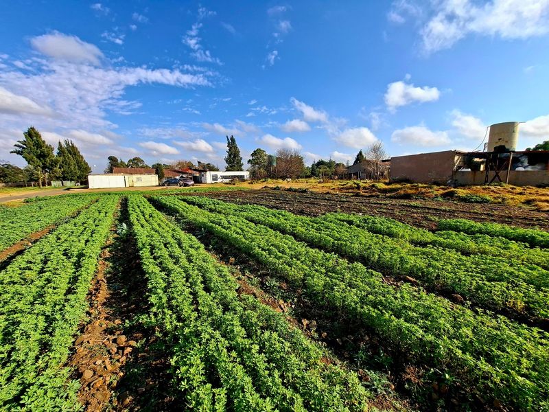 4 Hectare Small Holding in Walkerville For Sale - Photo 3