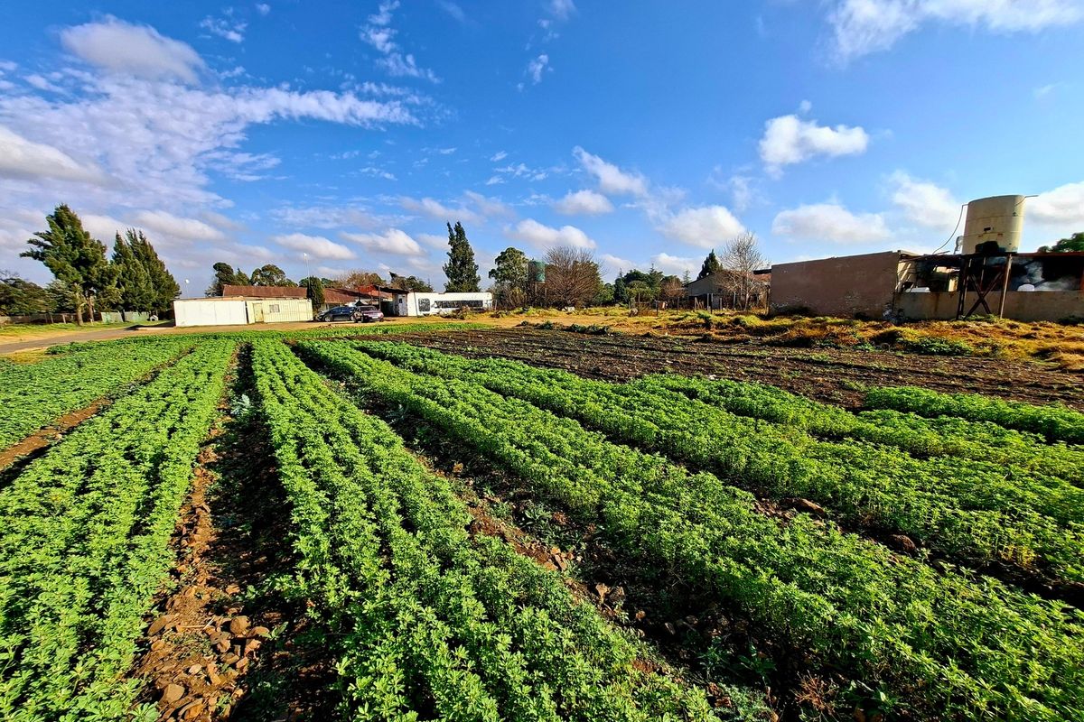 4 Hectare Small Holding in Walkerville For Sale - Photo 3