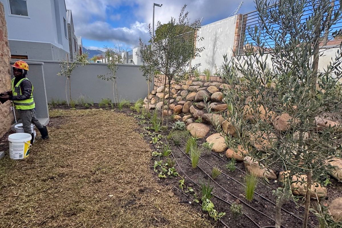 A landscaped rear garden area featuring a stone retaining wall, newly planted trees, and an integrated irrigation system along the garden beds.