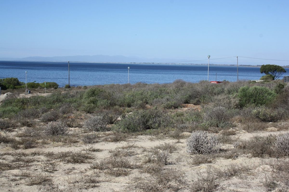 Last of the largest plots near seafront - Photo 5