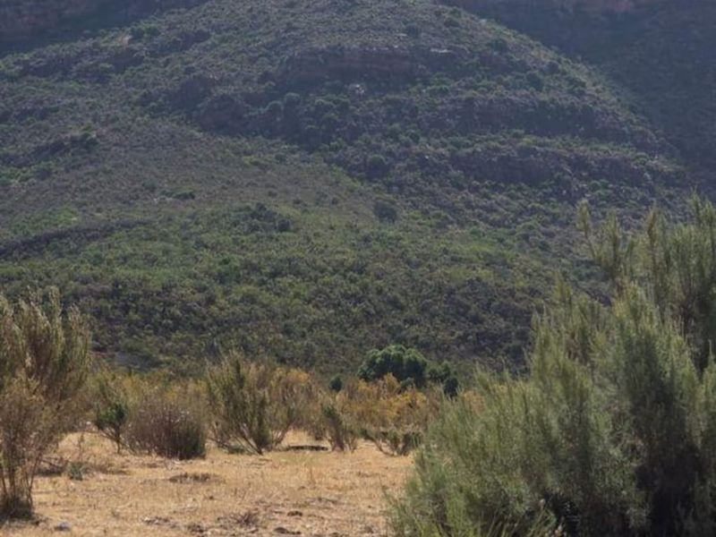 Stunning Vacant Plot with amazing views in Piketberg - Photo 4