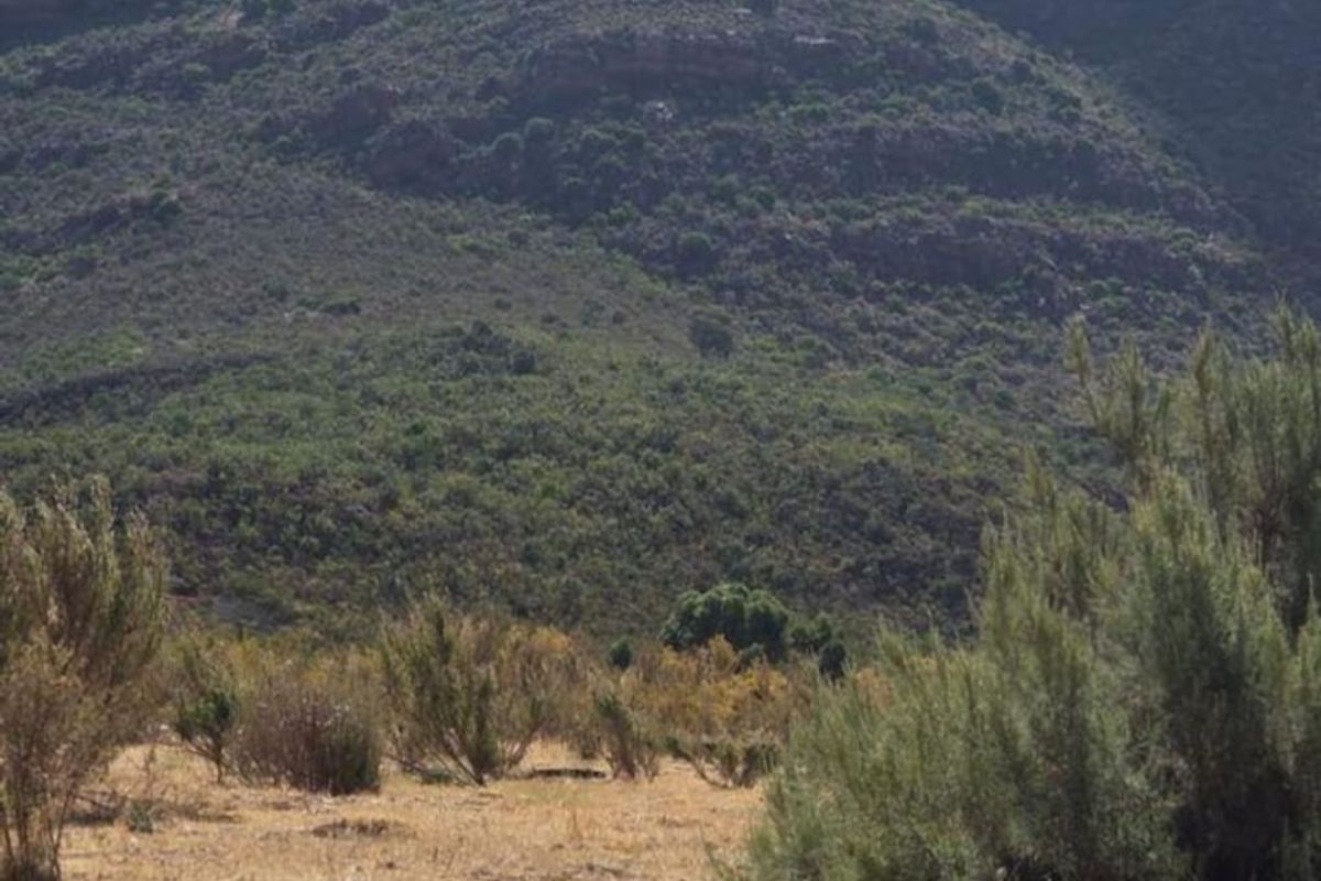 Stunning Vacant Plot with amazing views in Piketberg - Photo 4