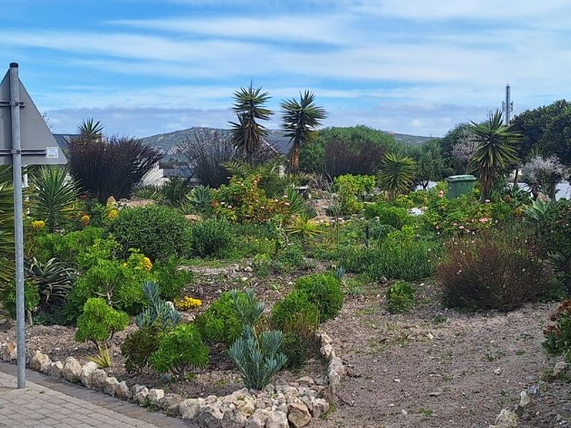 Brand new Beginners home in Villa Diamante, Langebaan - Photo 8