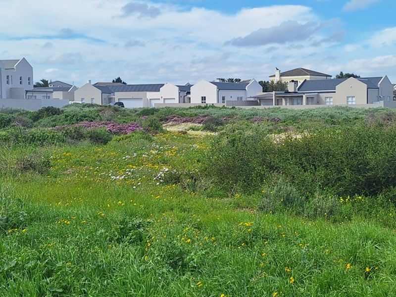 Brand new Beginners home in Villa Diamante, Langebaan - Photo 7