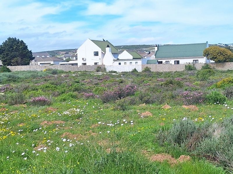Brand new Beginners home in Villa Diamante, Langebaan - Photo 5