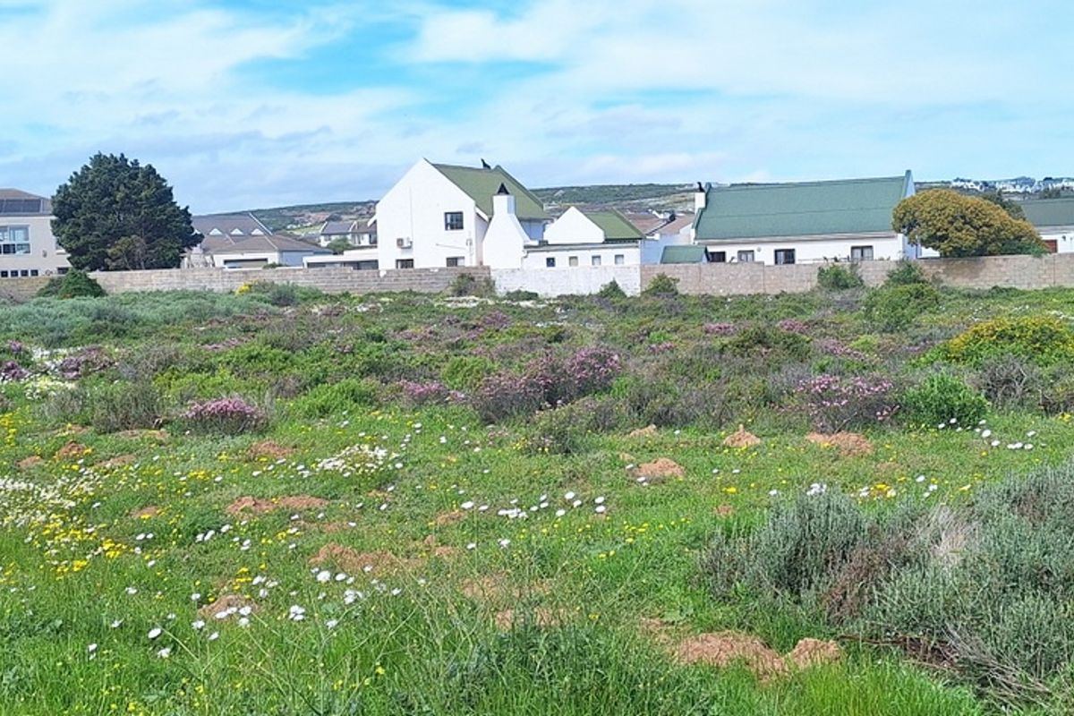 A view of an undeveloped plot of land with natural vegetation, bordered by a perimeter wall and neighboring residential properties.