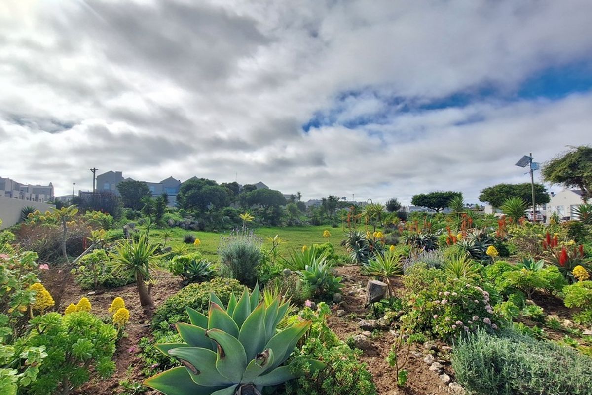 A well-maintained landscaped garden featuring a variety of succulents and native plants, providing a pleasant outdoor green space.