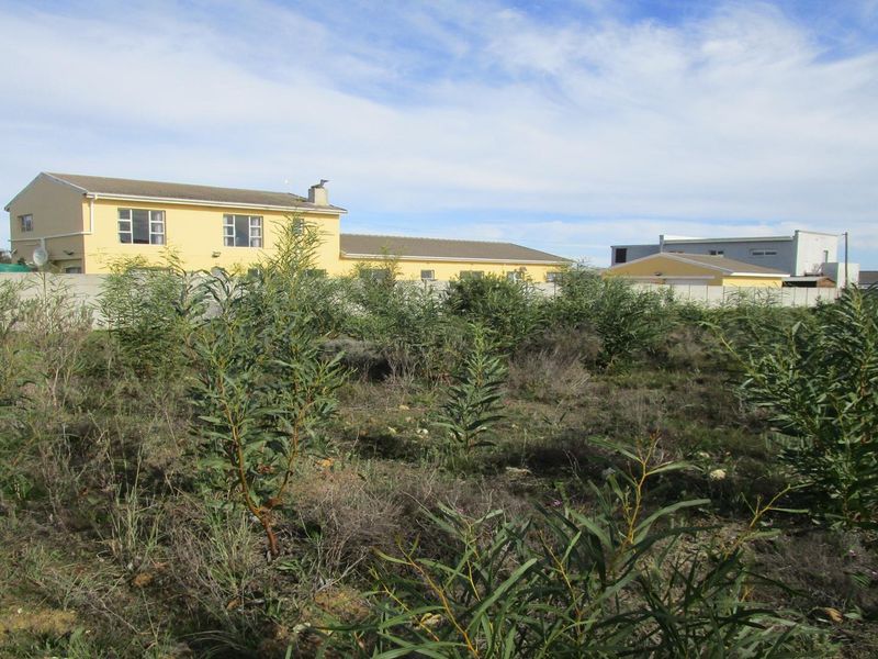 Are You Planning To Build A New Home in Hermanus? - Photo 7
