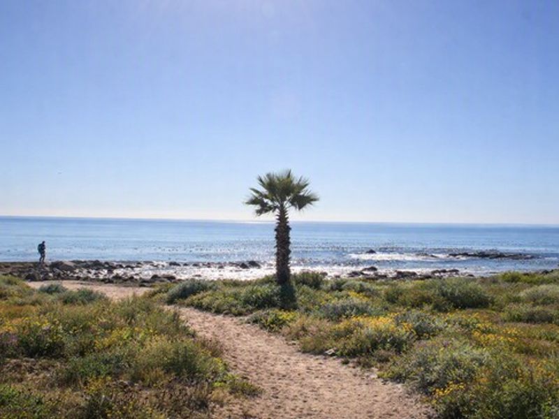 A scenic view of the coastline featuring natural vegetation, a sandy path, and direct access to the ocean.