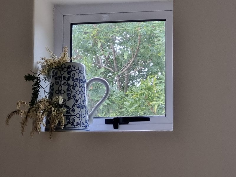 A close-up view of a small casement window with an aluminium frame, looking out onto garden greenery.