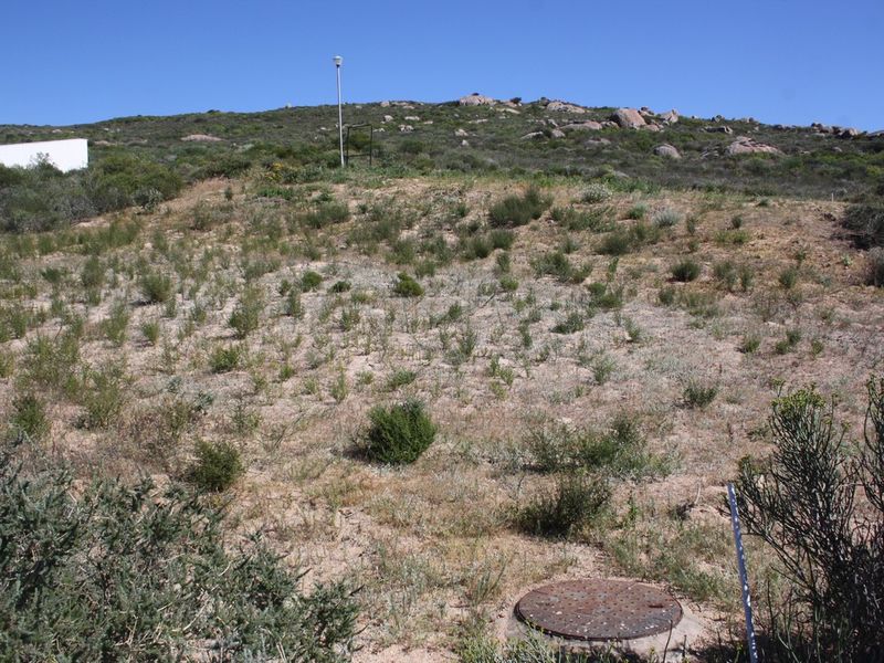 A view of the vacant residential land featuring natural vegetation, a manhole cover, and a utility pole on the sloped terrain.
