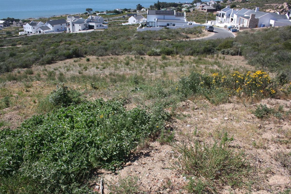 An elevated view of a vacant residential plot featuring natural coastal vegetation and a gentle slope, overlooking a nearby residential neighborhood and the ocean.