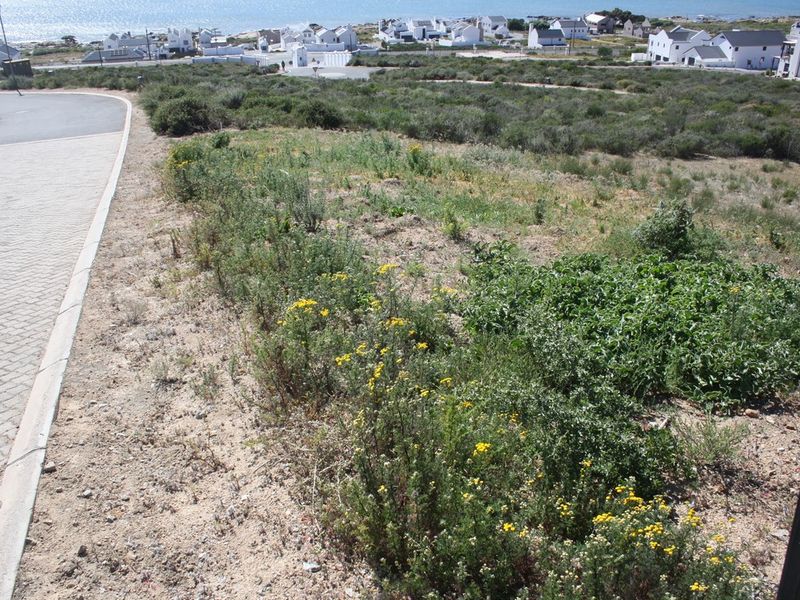 A view of a vacant residential plot featuring natural vegetation, adjacent to a paved road and kerbing in a coastal estate setting.