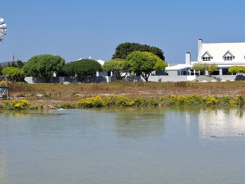 A view of the property exterior featuring a pond, a traditional windmill, and the main dwelling in the background.