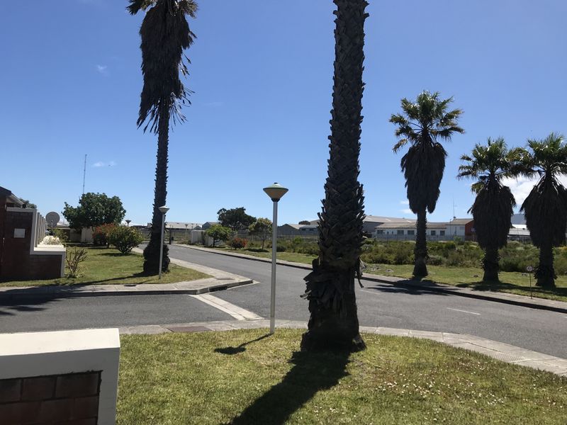 A view of the residential street approach featuring paved roads, concrete curbing, and established palm trees within the townhouse complex surroundings.