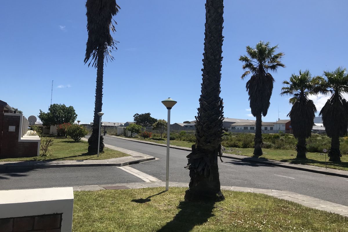 A view of the residential street featuring paved roads, concrete curbing, and established palm trees under a clear blue sky.