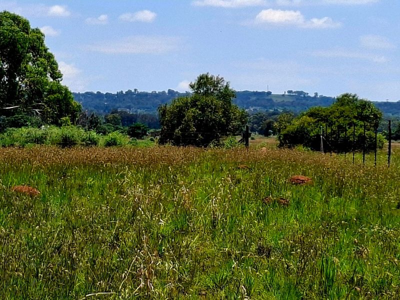 A view of the vacant residential land featuring natural grassland, mature trees, and perimeter wire fencing against a scenic hilly backdrop.