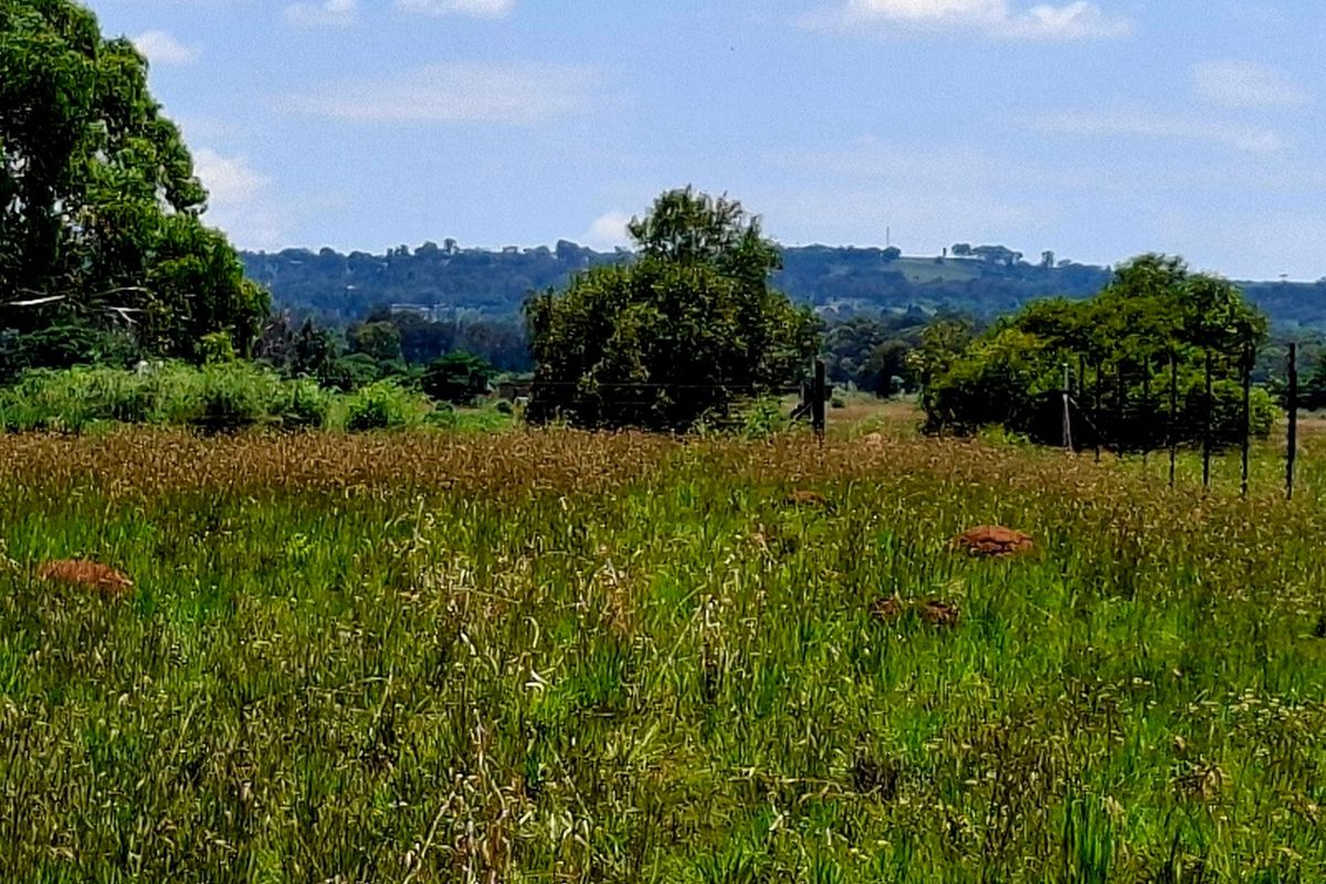 A view of the vacant residential land featuring natural grassland, mature trees, and perimeter wire fencing against a scenic hilly backdrop.