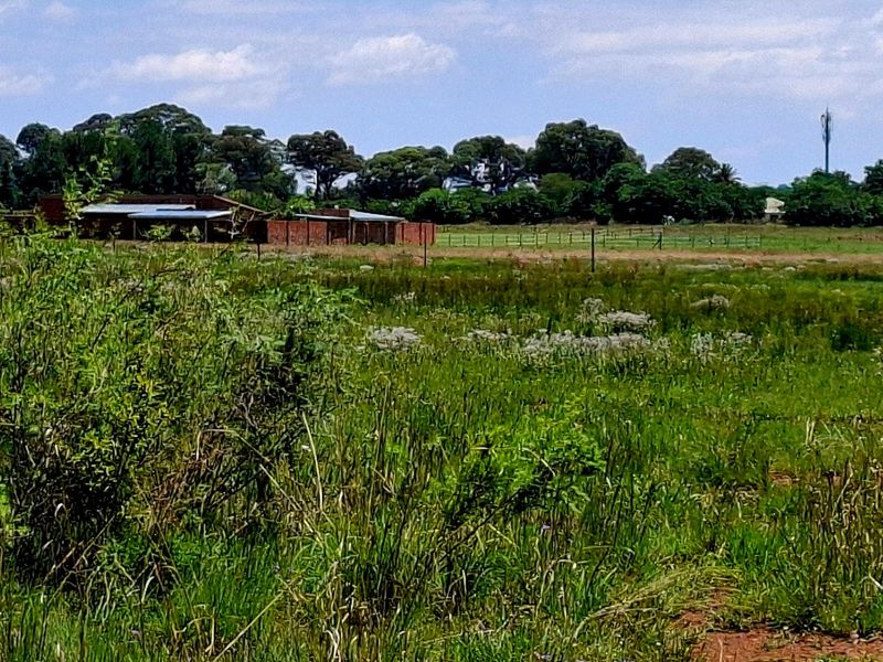 A view of the vacant residential land featuring natural vegetation, perimeter fencing, and a brick boundary wall in the distance.