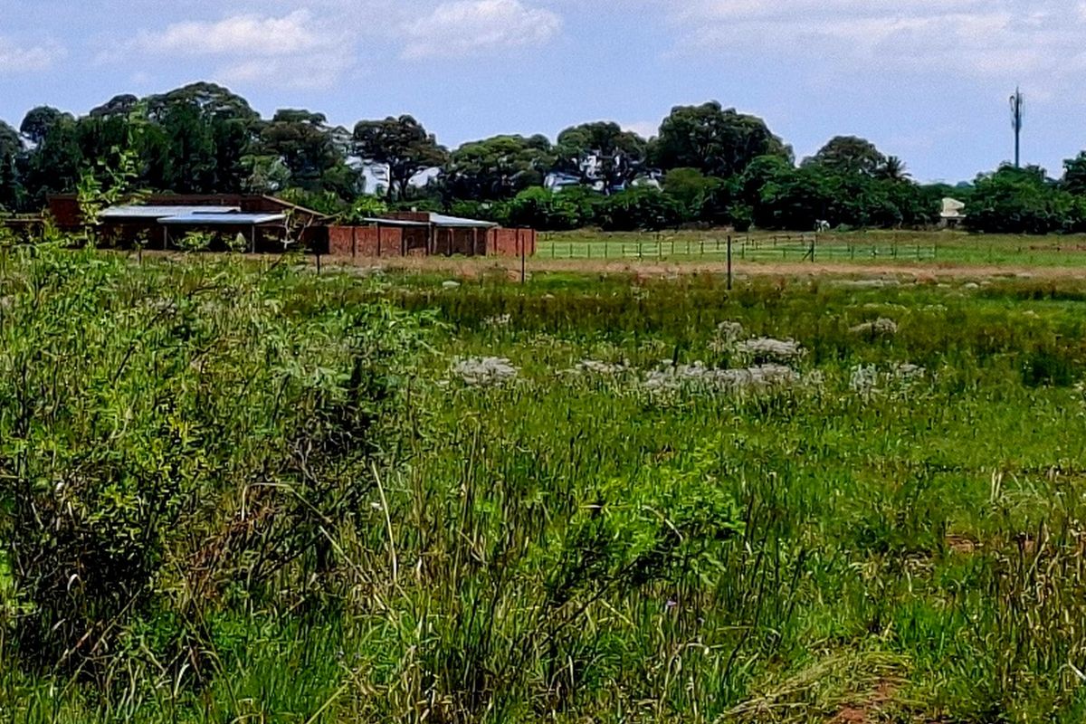 A view of the vacant residential land featuring natural vegetation, perimeter fencing, and a brick boundary wall in the distance.