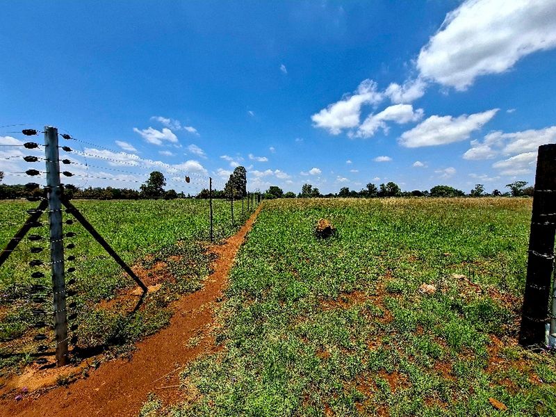 A view of a vacant residential plot featuring established electric fencing and open green space under a clear blue sky.
