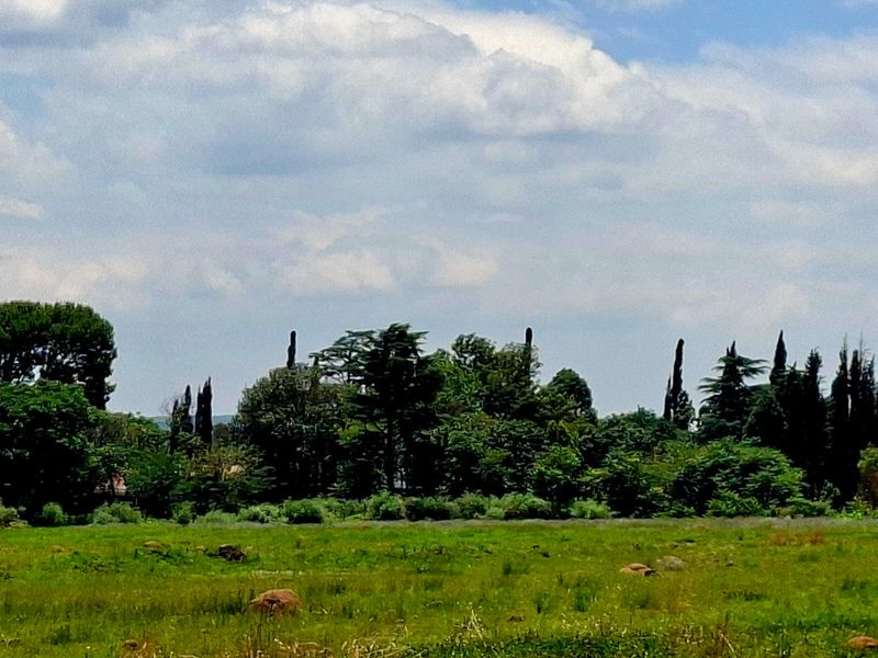 A scenic view of a lush, green landscape featuring mature trees and open grassland under a cloudy sky.