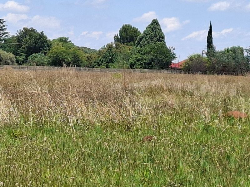 A view of a vacant residential plot featuring overgrown grass, mature trees, and a perimeter wall boundary.