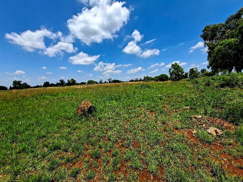 A wide-angle view of a vacant residential plot featuring natural grassland, scattered rocks, and mature trees under a clear blue sky.