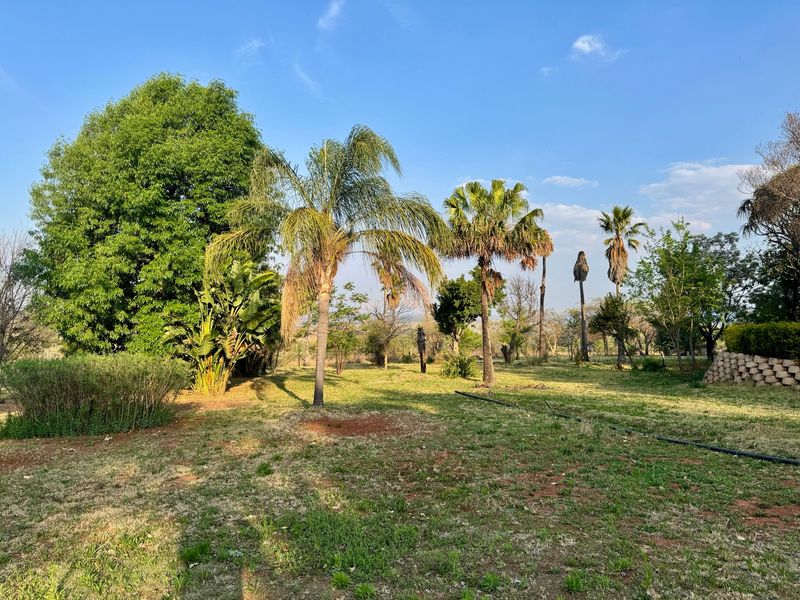 A spacious, open garden area on the farm featuring mature trees, palm trees, and a stone retaining wall.