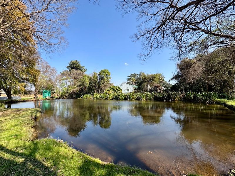 Lifestyle Farm with Exceptional Income Potential & Established Turf Business - Photo 10