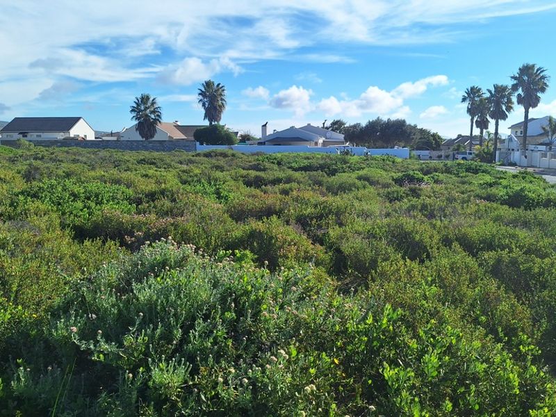 A vacant residential plot covered in indigenous coastal vegetation, situated in a developed neighborhood with established boundary walls.