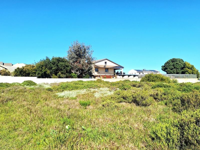 A view of a vacant residential plot featuring natural vegetation and a boundary wall with neighboring properties visible in the background.