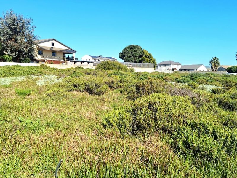 A view of a vacant residential plot featuring natural vegetation, with established neighboring properties visible in the background.