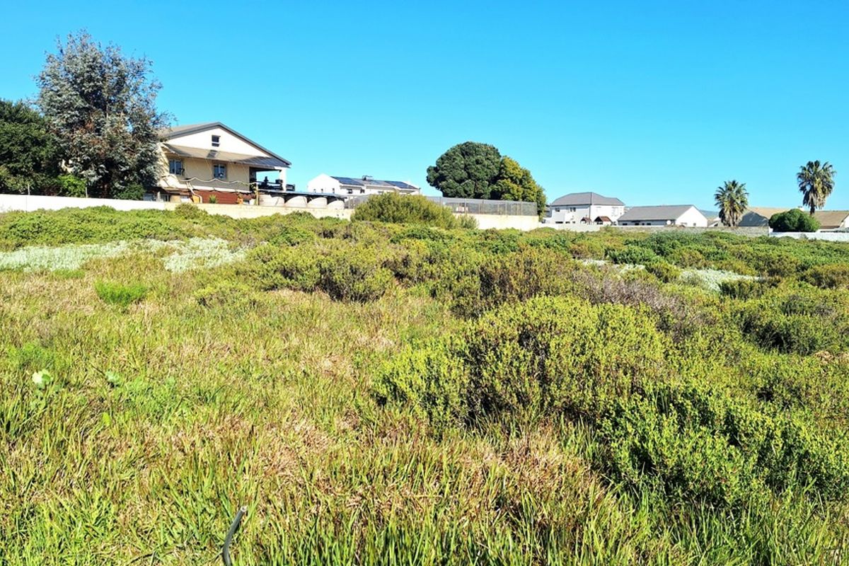 A view of a vacant residential plot featuring natural vegetation, with established neighboring properties visible in the background.