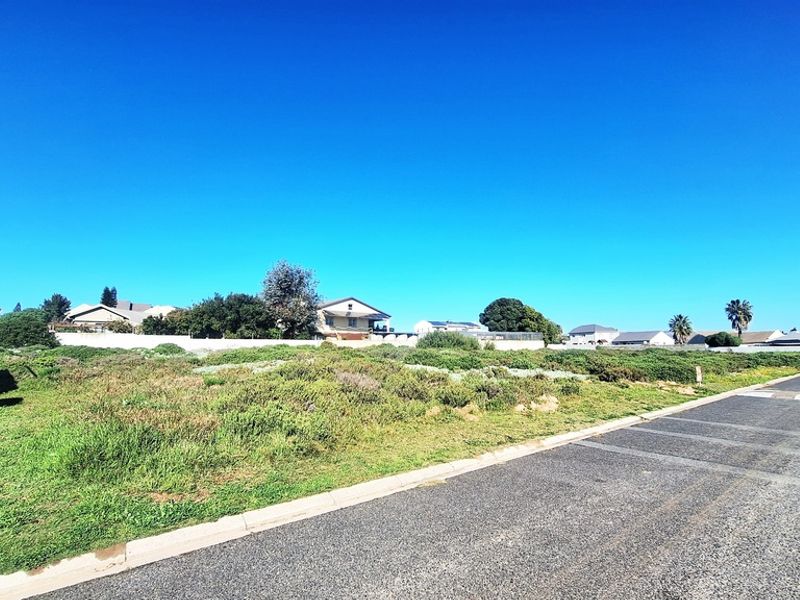 A vacant residential plot of land featuring natural vegetation, bordered by a paved road and concrete curbing in a suburban neighborhood setting.
