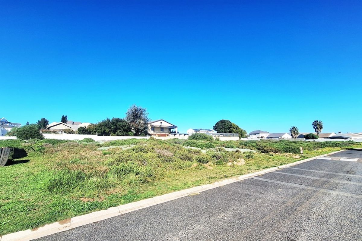 A vacant residential plot of land featuring natural vegetation, bordered by a paved road and concrete curbing in a suburban neighborhood setting.