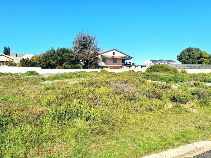A vacant residential plot featuring natural vegetation, bordered by a boundary wall with established residential properties visible in the background.