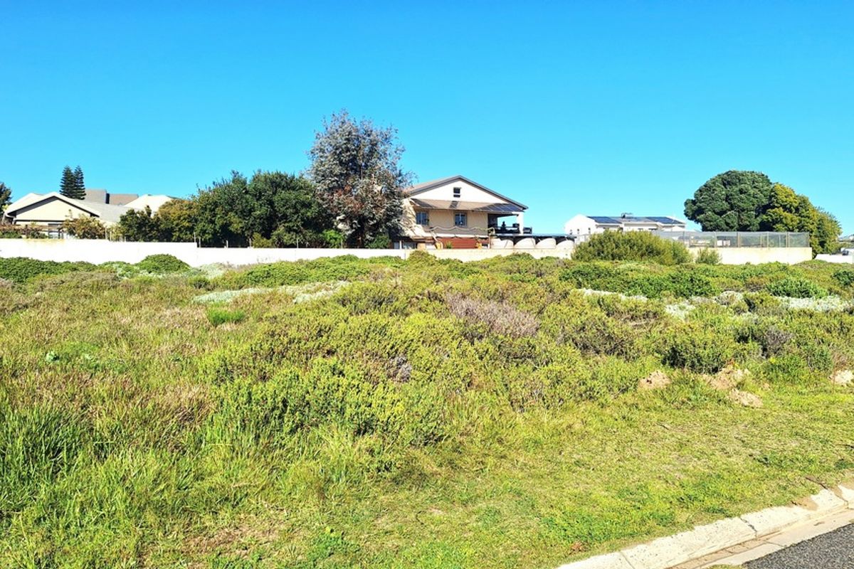 A vacant residential plot featuring natural vegetation, bordered by a boundary wall with established residential properties visible in the background.