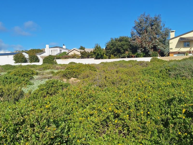 A view of a vacant residential plot covered in natural vegetation with a boundary wall and neighboring houses in the background.
