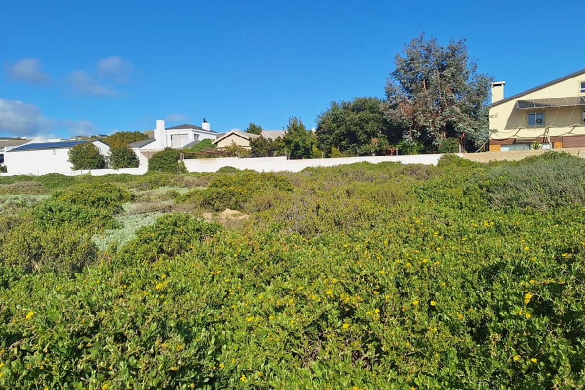 A view of a vacant residential plot covered in natural vegetation with a boundary wall and neighboring houses in the background.