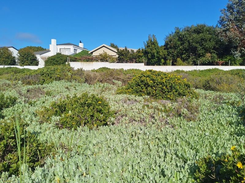 A view of a vacant residential plot featuring natural coastal vegetation and a perimeter boundary wall.