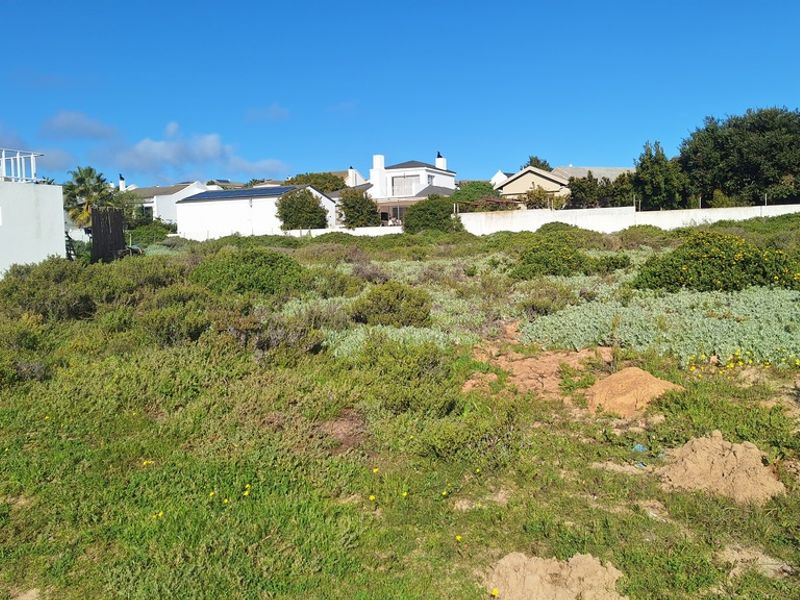 A vacant residential plot featuring natural fynbos vegetation, enclosed by a boundary wall in an established neighborhood setting.